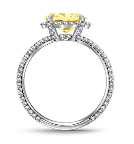 Yellow Cushion Diamond Collar Single Halo Engagement Ring W