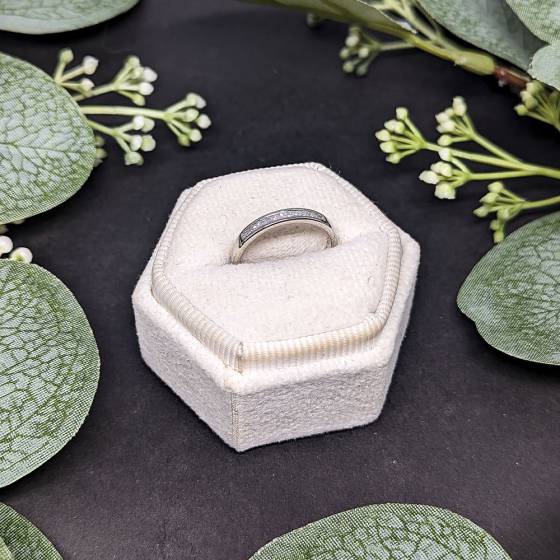 0.20ct VS/E-F Natural Princess Diamond Half Eternity Ring in Platinum